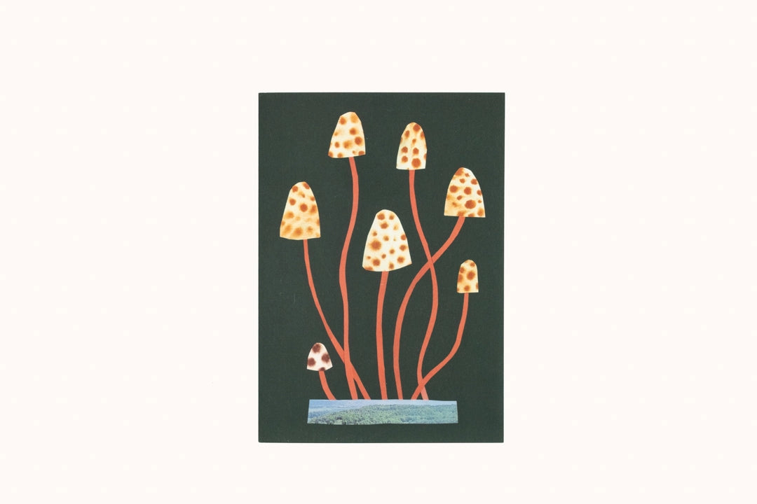 Spotty Mushroom Greetings Card