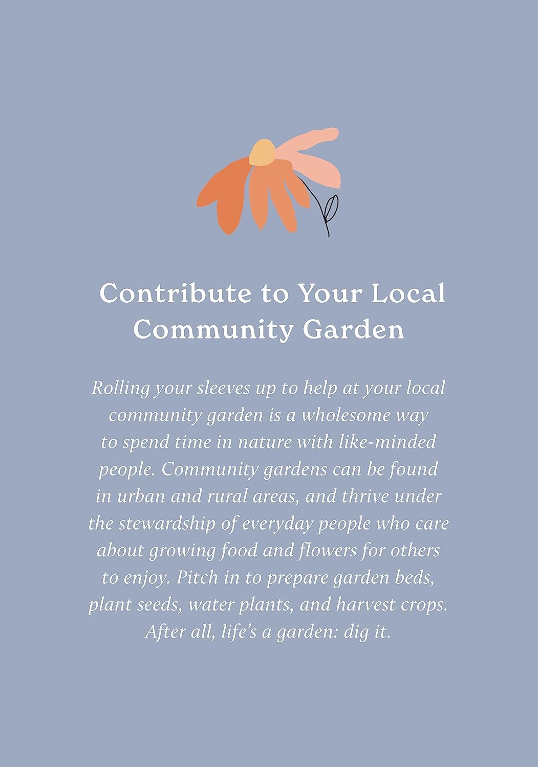 100 Ways to Reconnect with Nature: Everyday cards for wherever you live