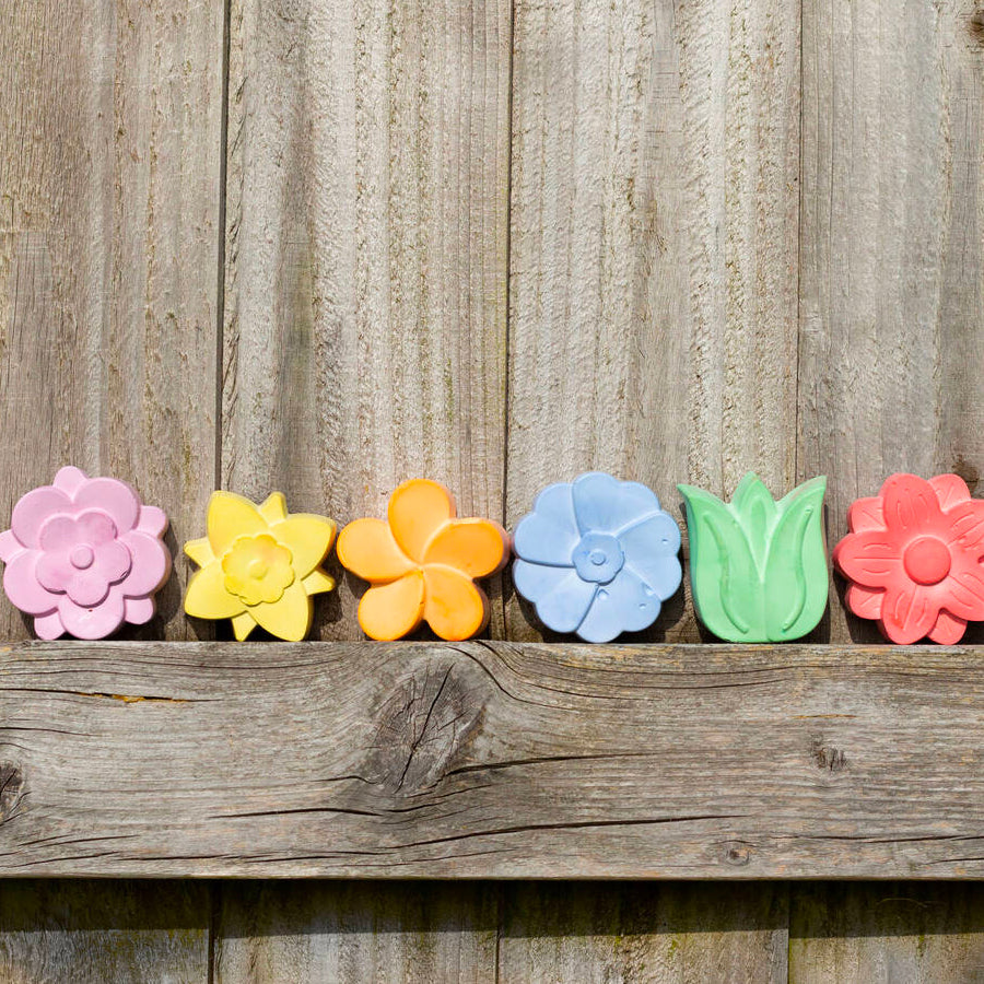 Flower Shape Pavement Chalks