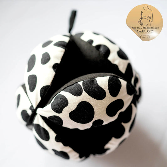 Sensory Grasp Balls