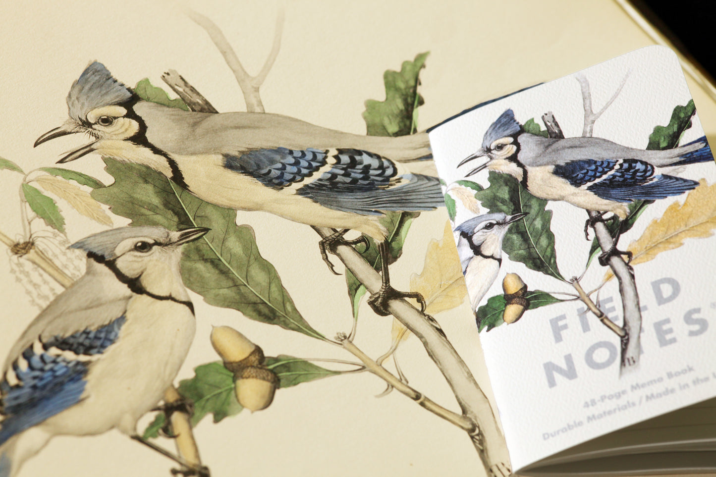 Field Notes Birds and Trees of North America - Pack of Three