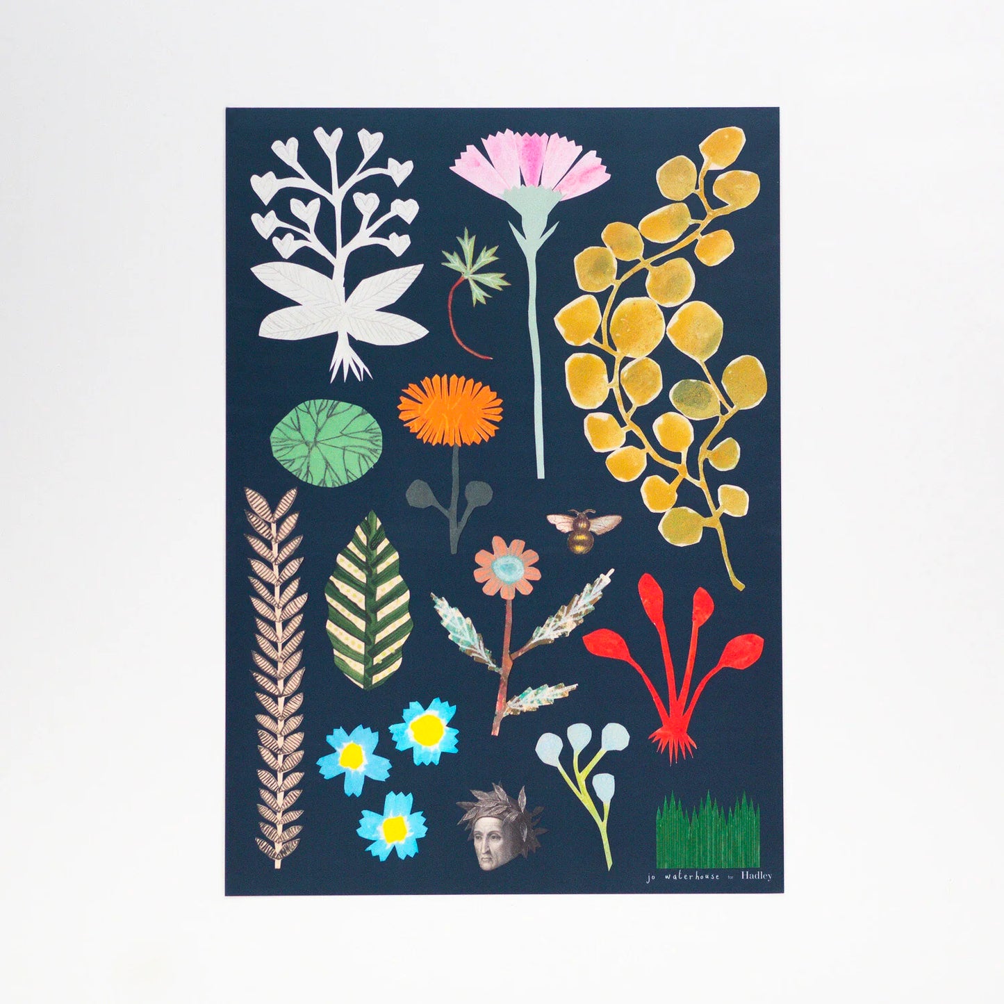 Botanical Print