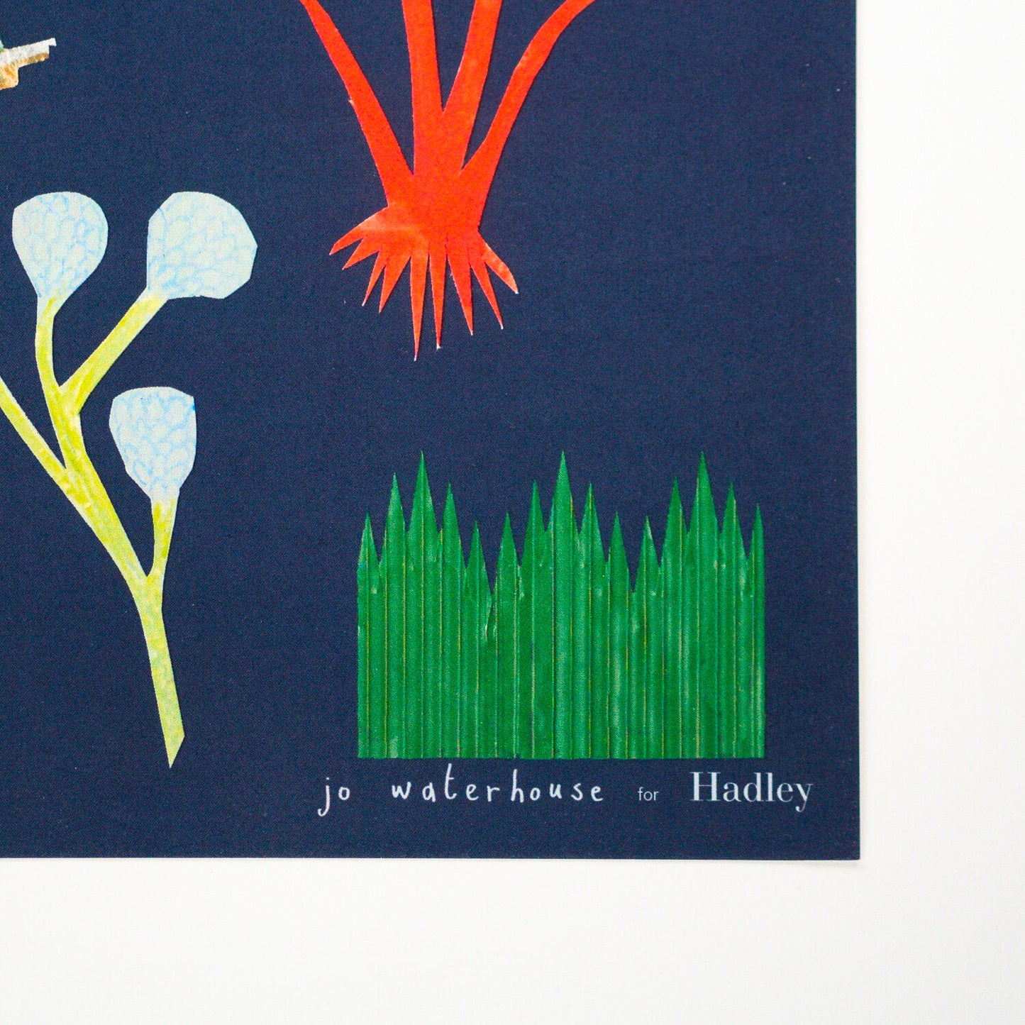Botanical Print