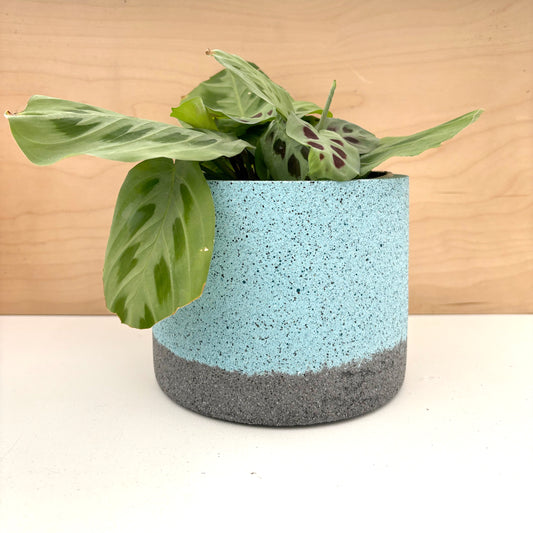 Jesmonite Plant Pot