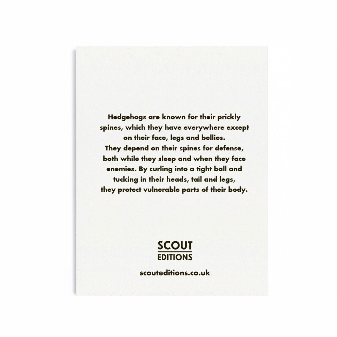 Hedgehog Mini Card