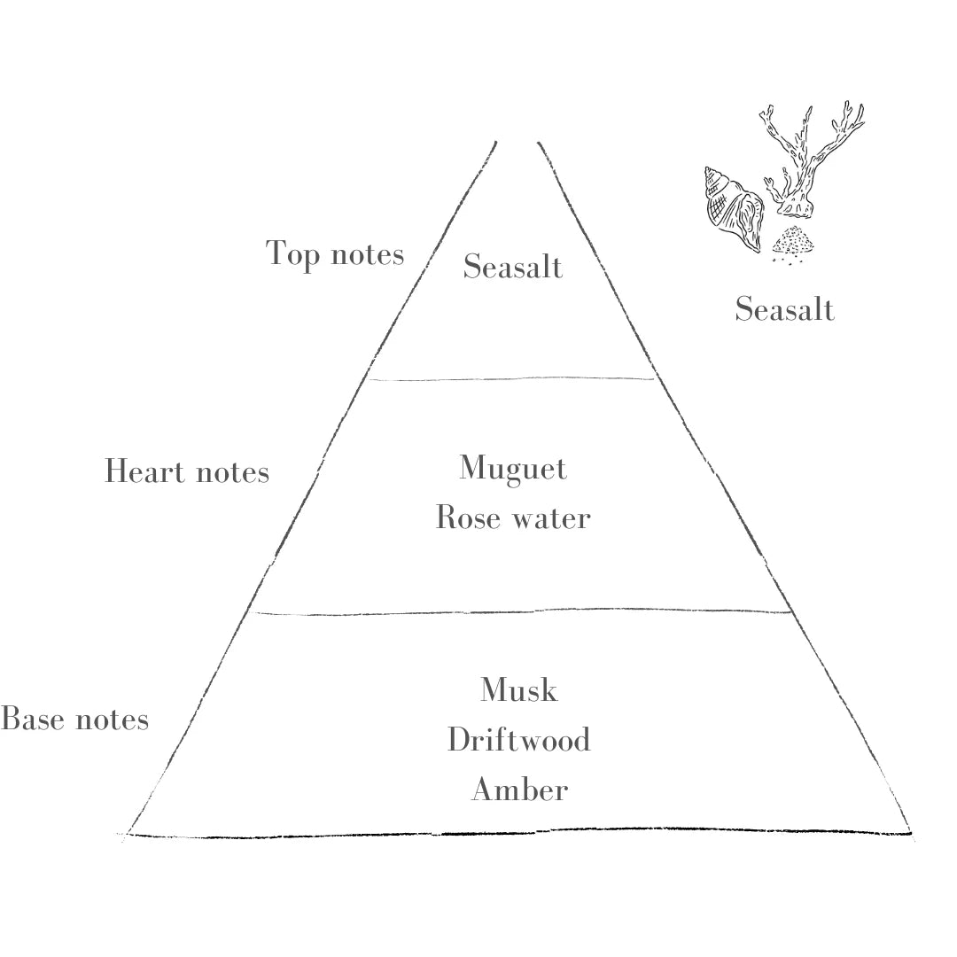 Ocean Pott with Seasalt Candle