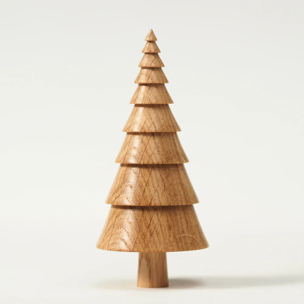 Spruce Tree
