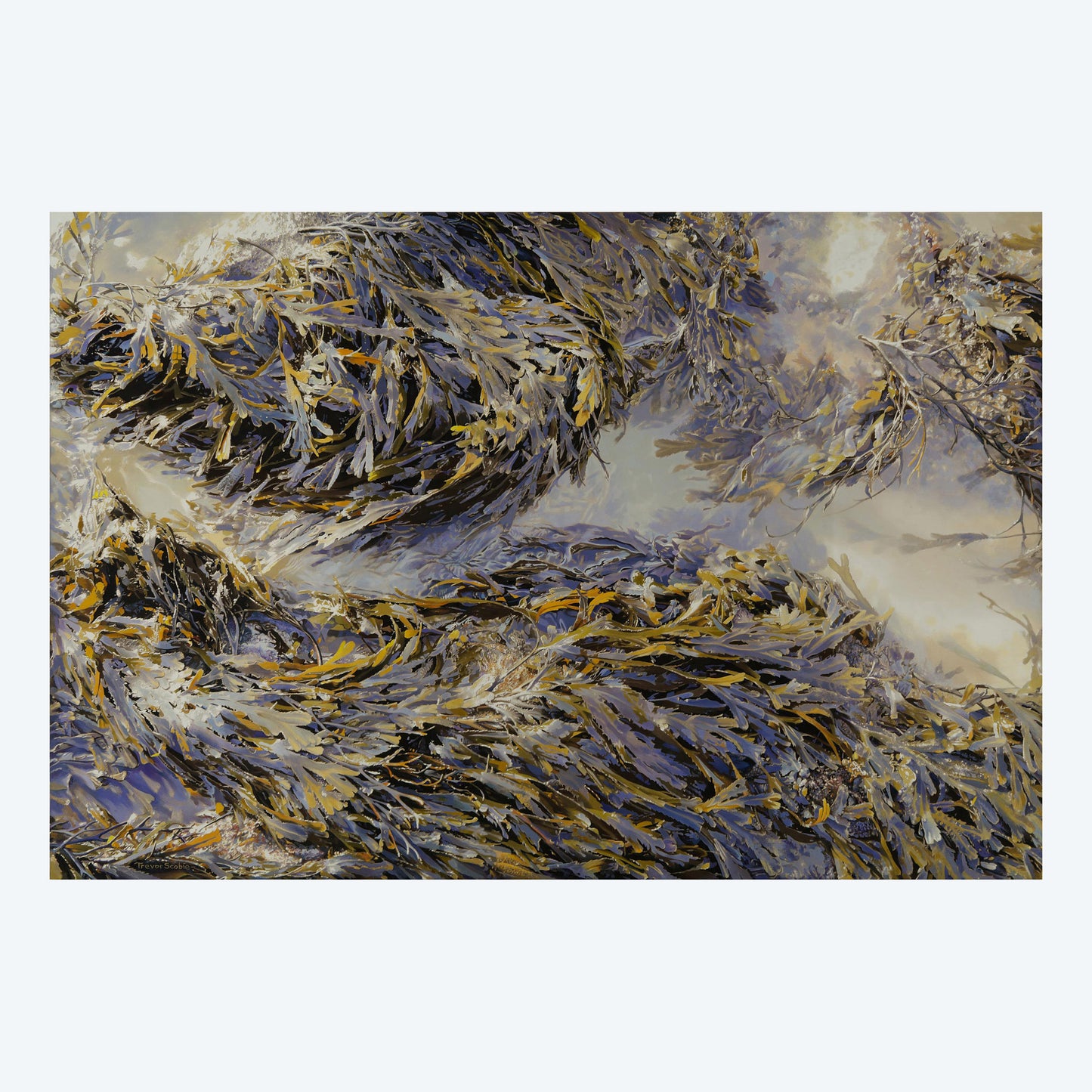 Tidal Rhythm Print