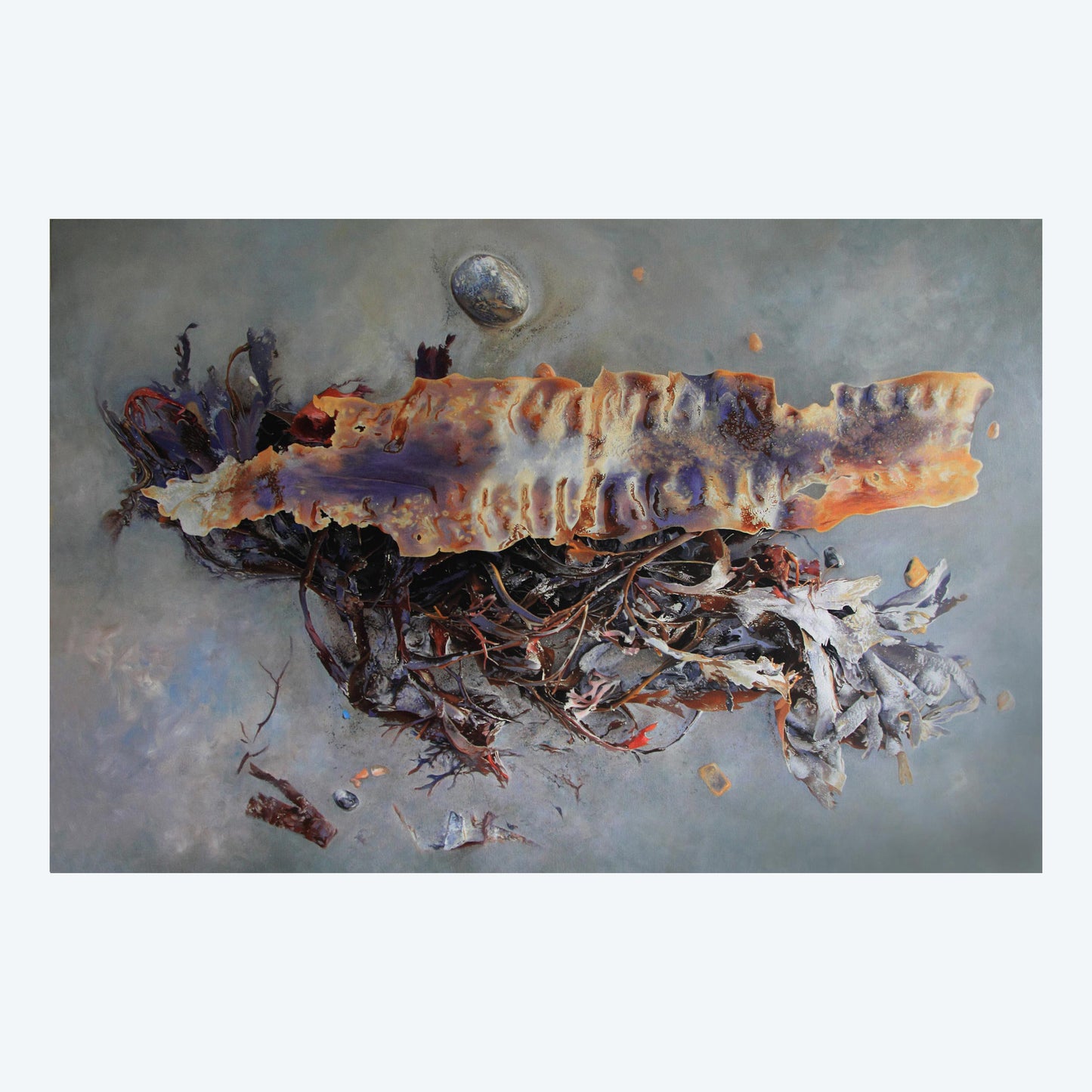 Morning Shore Print