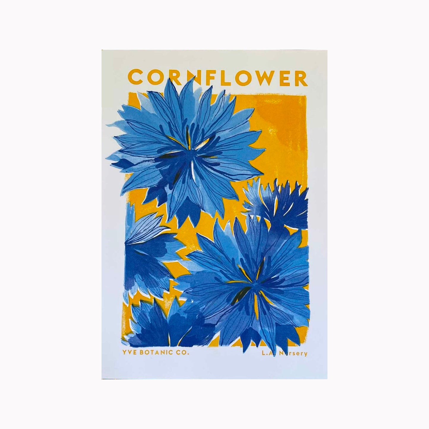 Cornflower Illustration Risograph Print