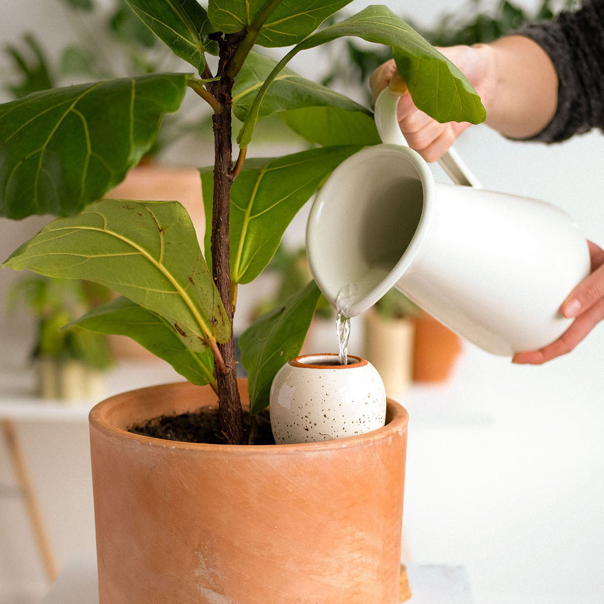 Olla - Speckled White - Self watering for plants.