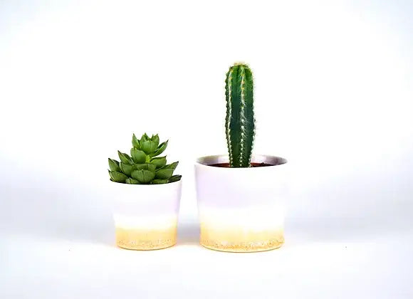 SGW Lab Plant Pot Medium