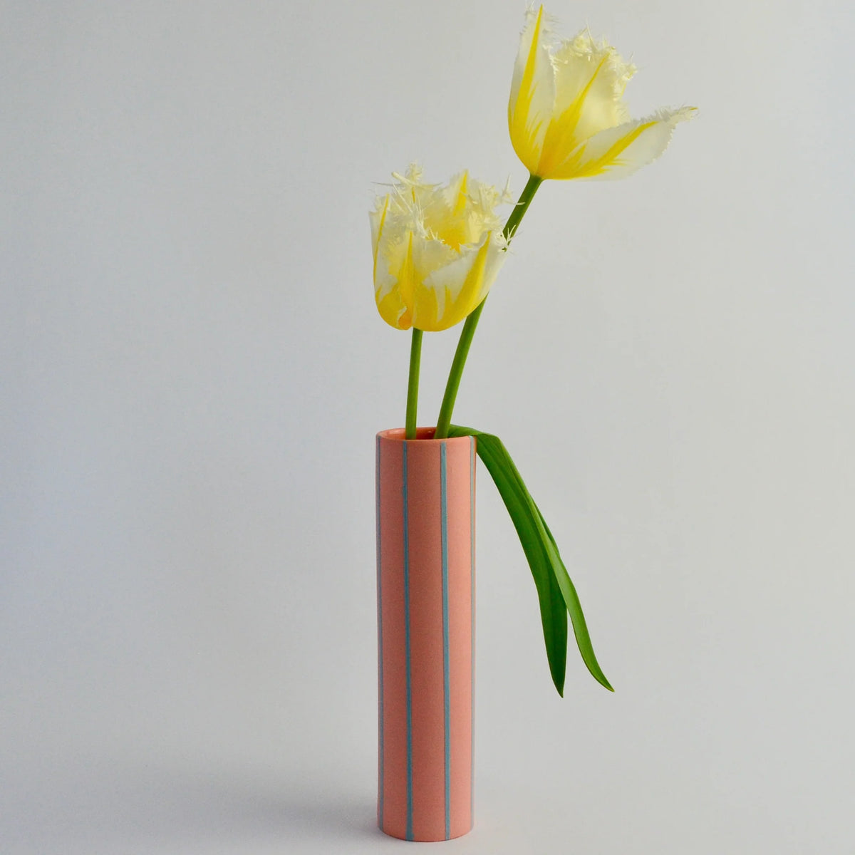 Coloured Striped Vase in Pink with Blue