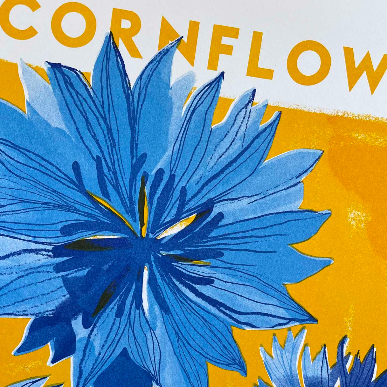 Cornflower Illustration Risograph Print