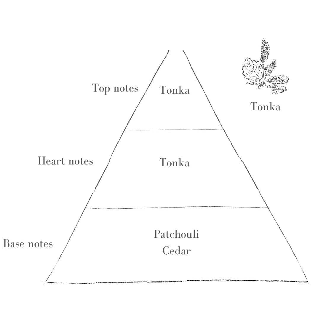 The Tonka Scent in Heather Diffuser Pott