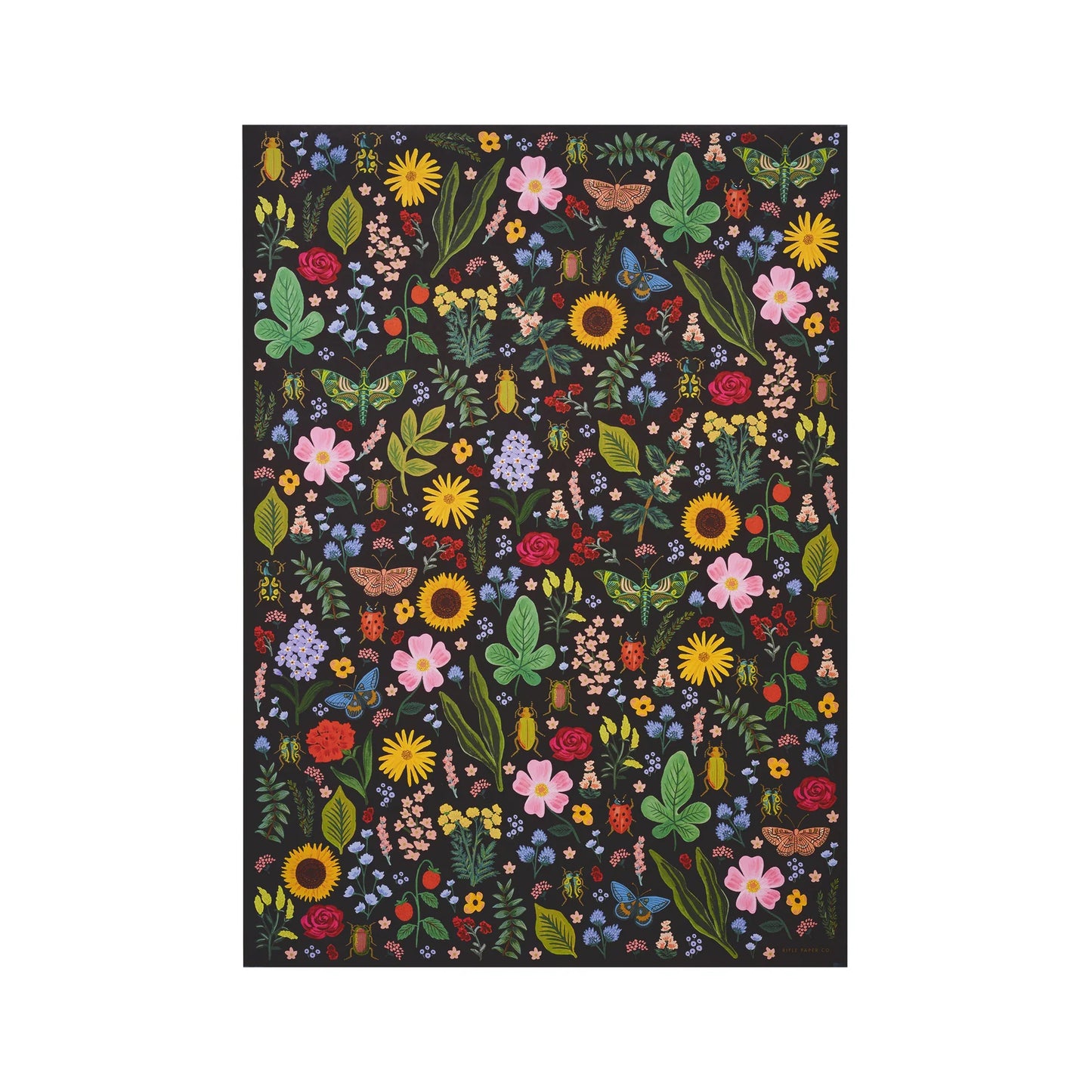 Curio Gift Wrap Roll