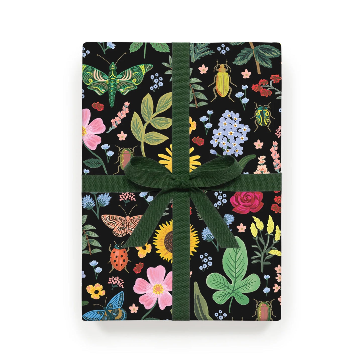 Curio Gift Wrap Roll
