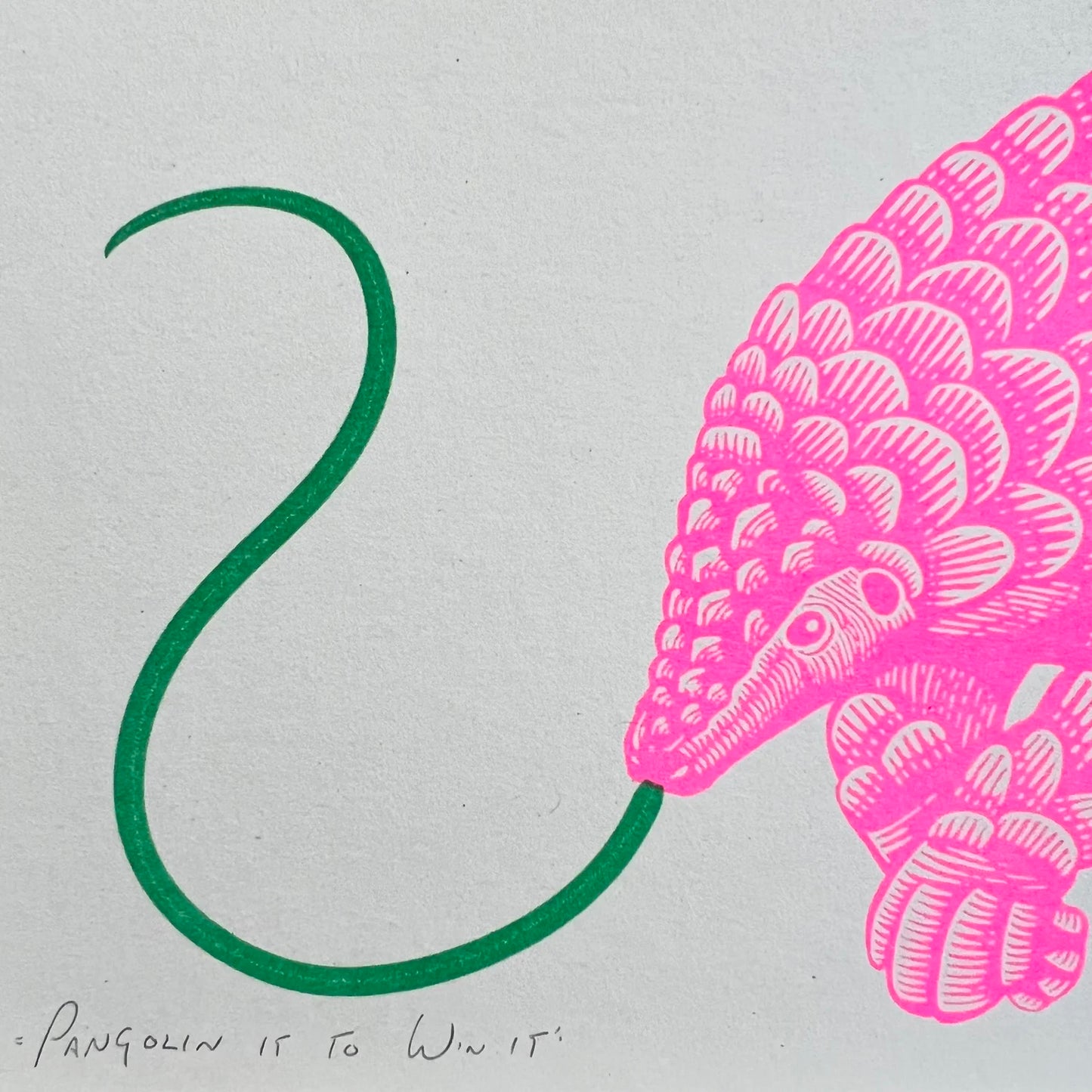 'Pangolin It To Win It' Riso Print