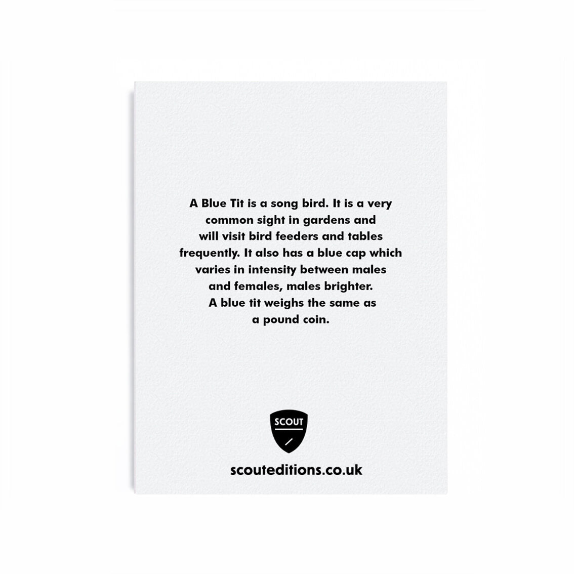 Blue Tit Mini Card