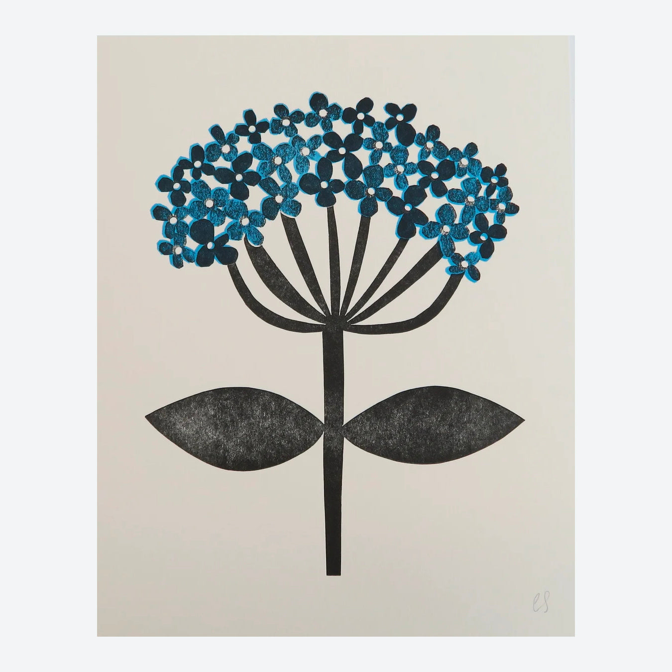 Hydrangea Collagraph Print