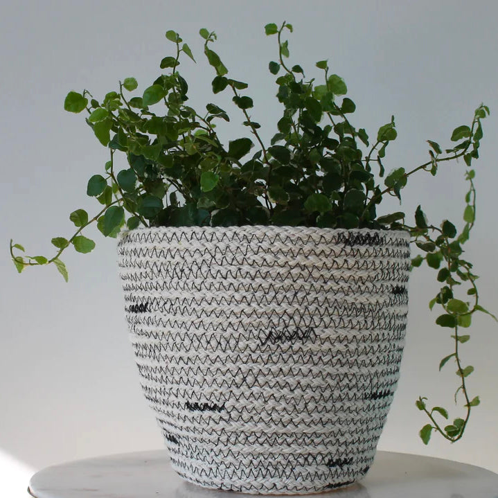 Stitched Rope Plant Pot