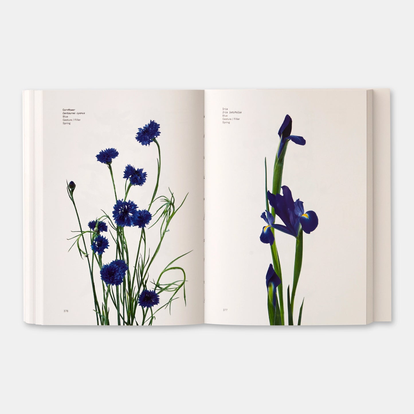Flower Colour Guide