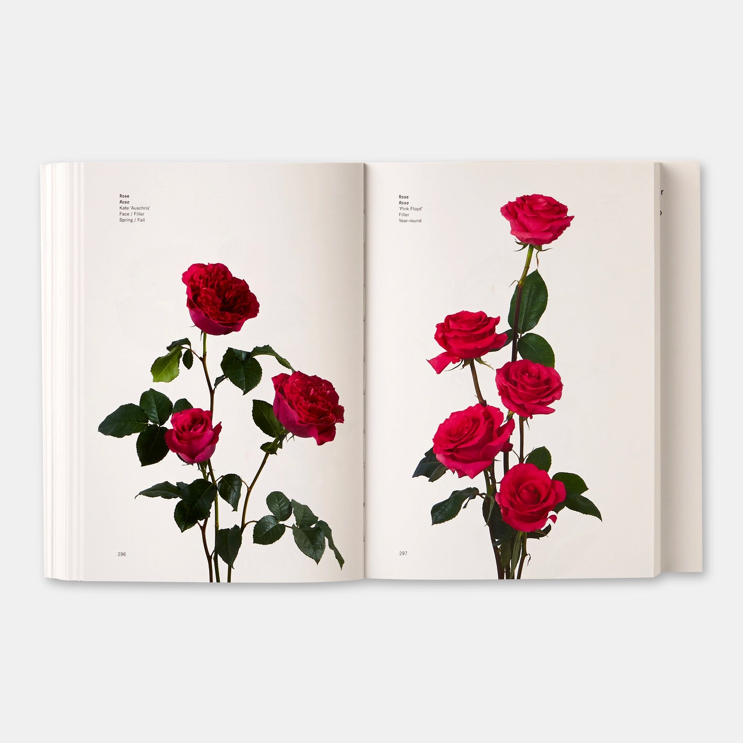 Flower Colour Guide