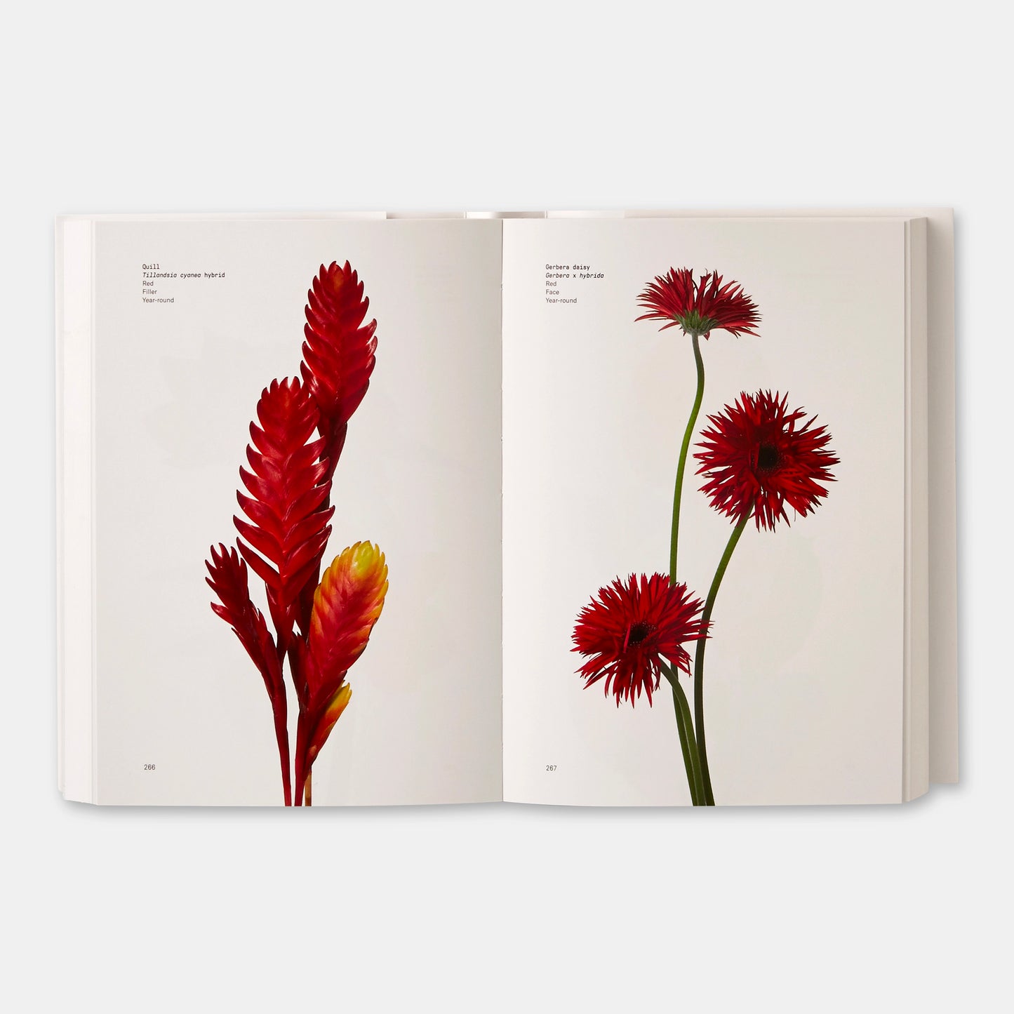 Flower Colour Guide