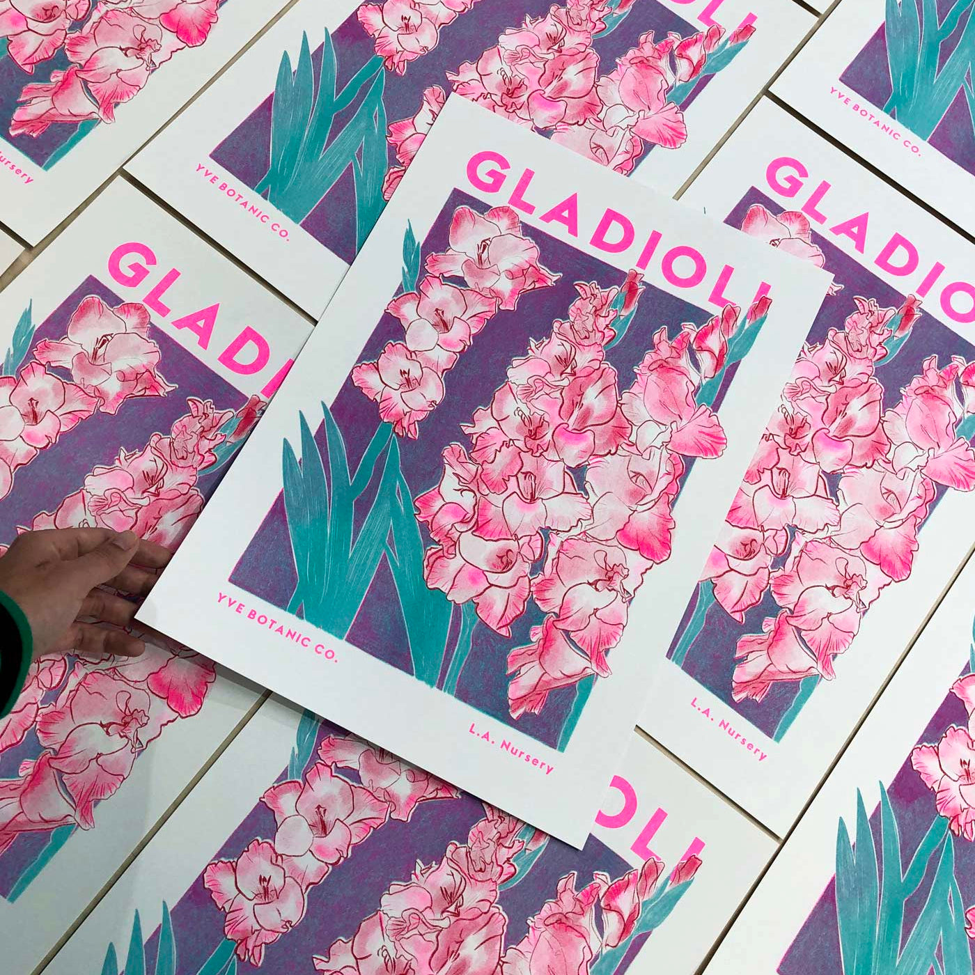 Gladioli Illustration Risograph Print