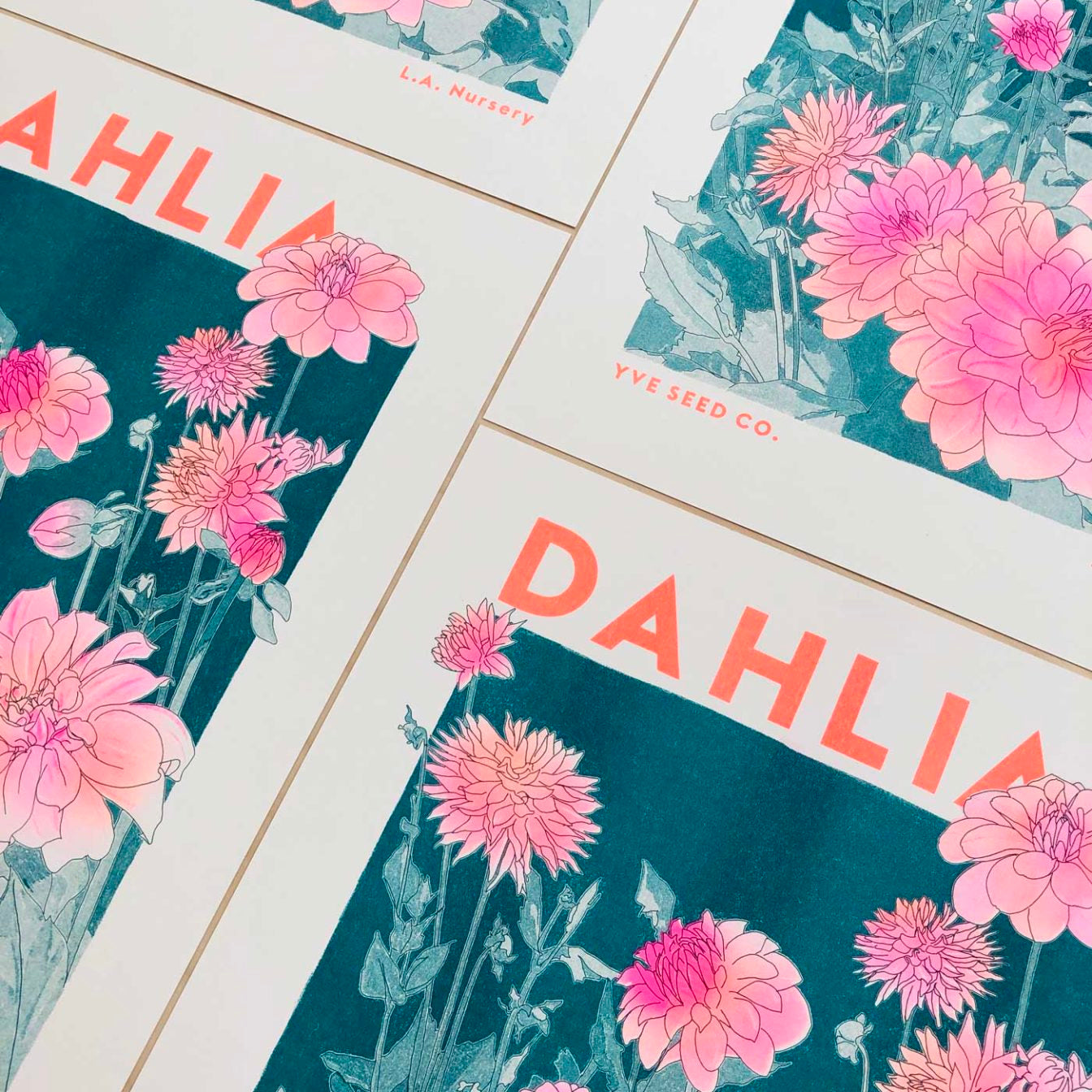 Dahlia Illustration Risograph Print