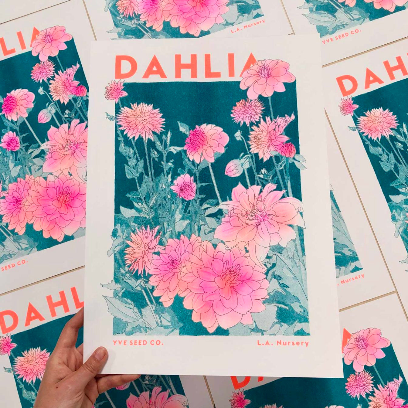 Dahlia Illustration Risograph Print