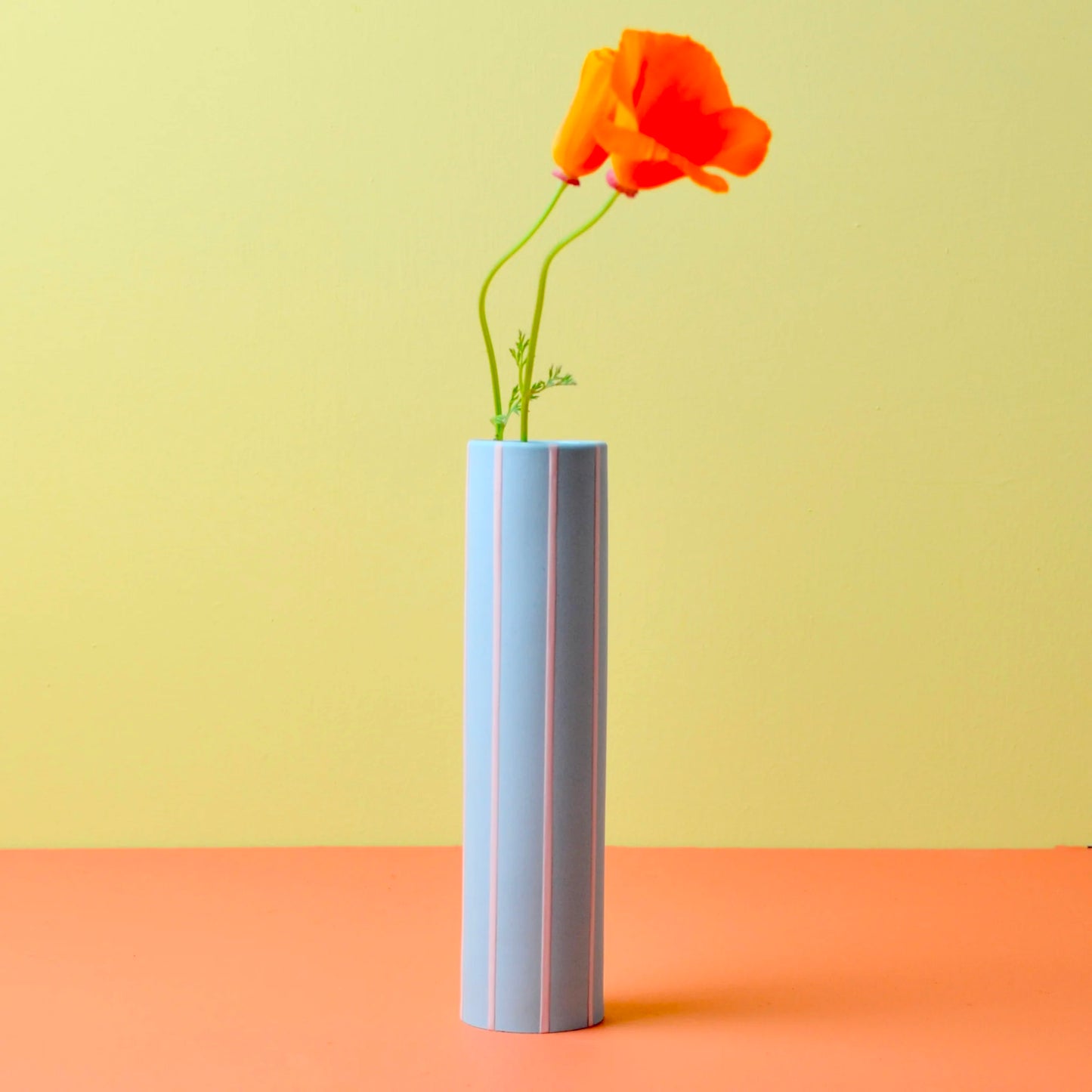 Coloured Striped Vase Turquoise with Pink Stripes