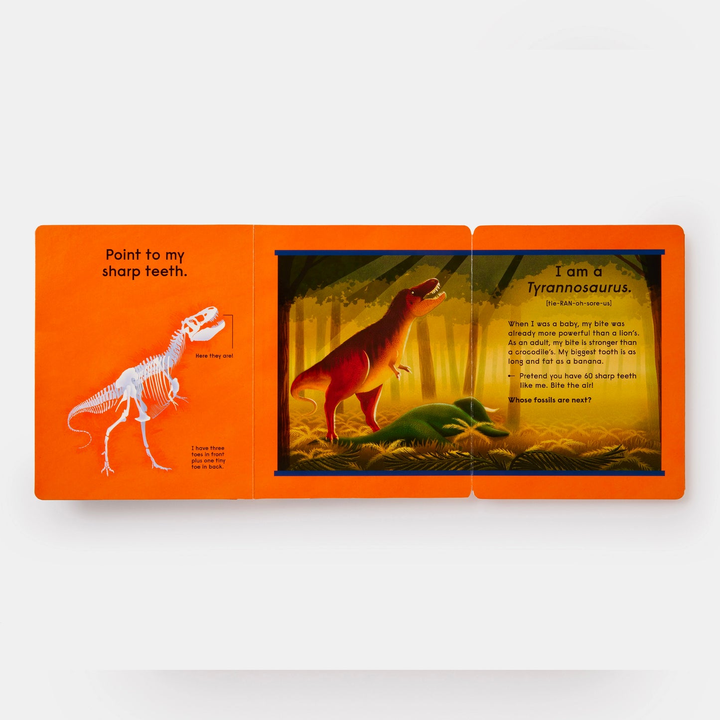 Who's That Dinosaur? : An Animal Guessing Game