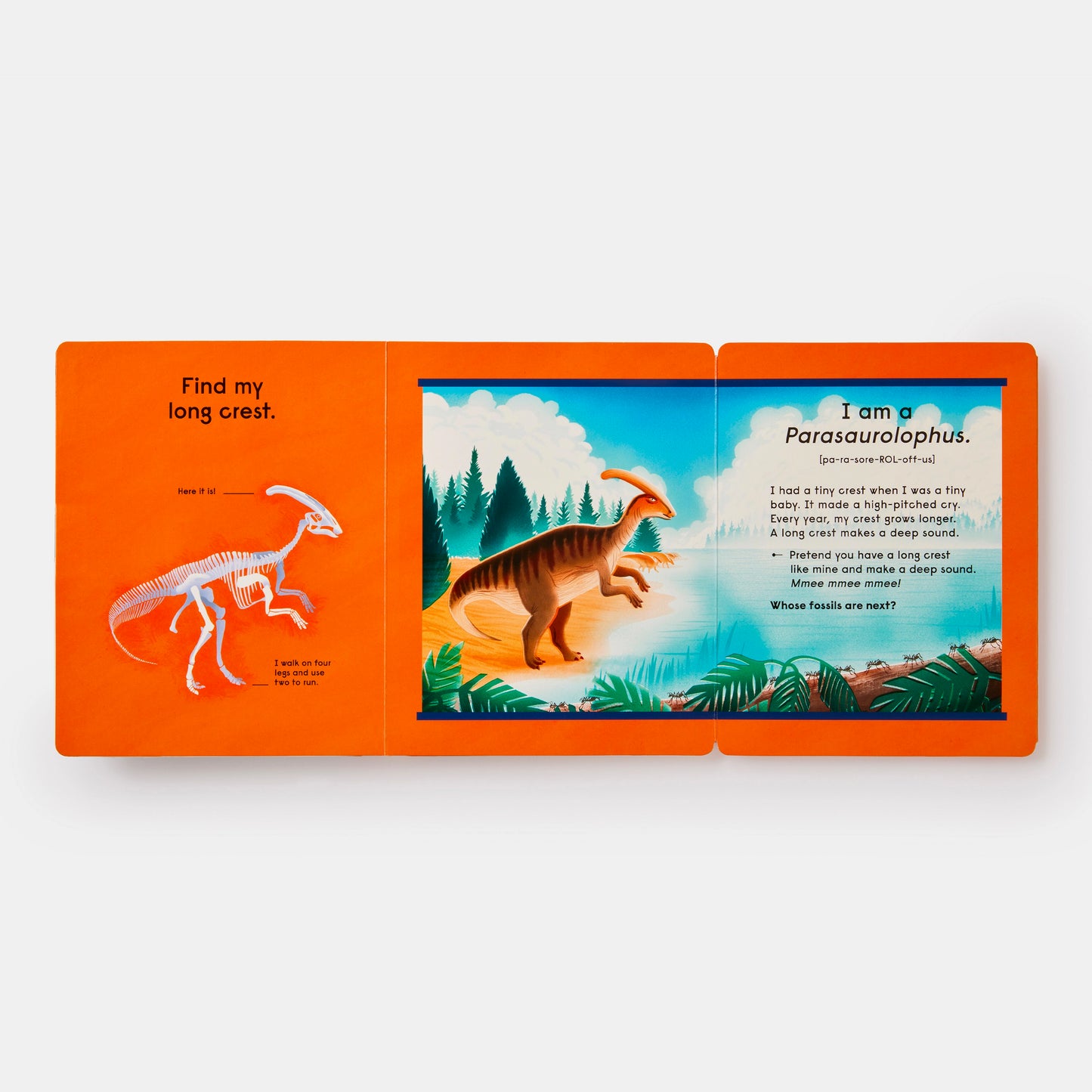 Who's That Dinosaur? : An Animal Guessing Game