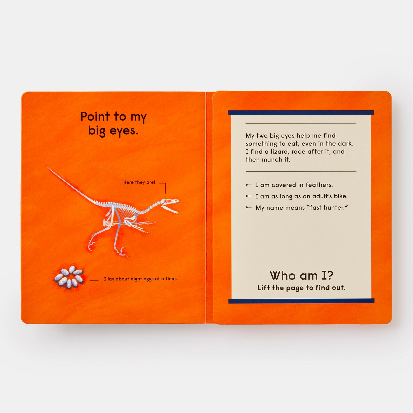 Who's That Dinosaur? : An Animal Guessing Game