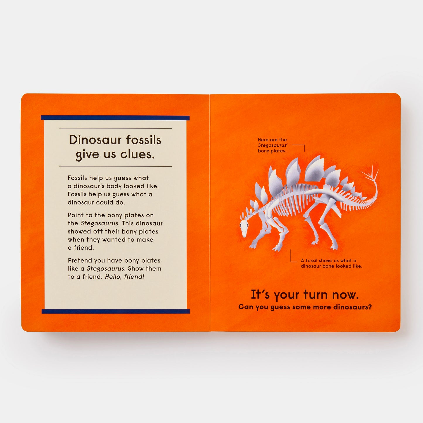 Who's That Dinosaur? : An Animal Guessing Game