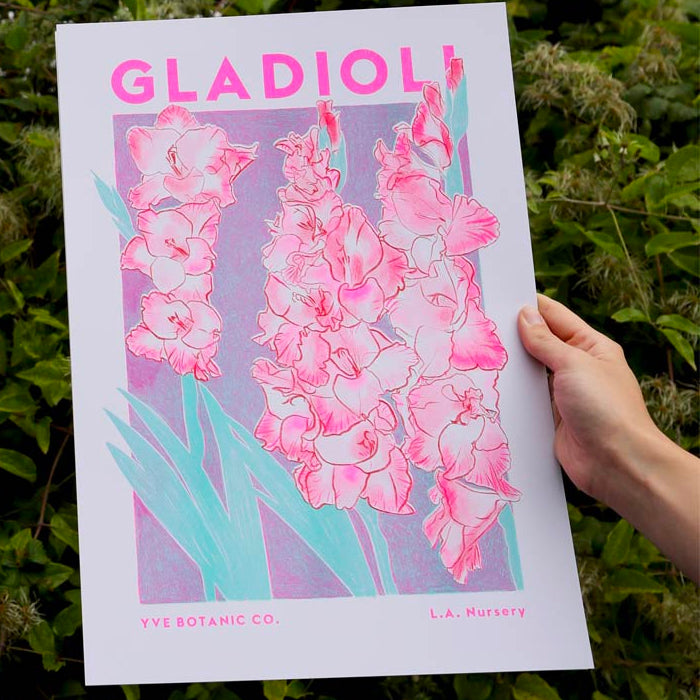 Gladioli Illustration Risograph Print