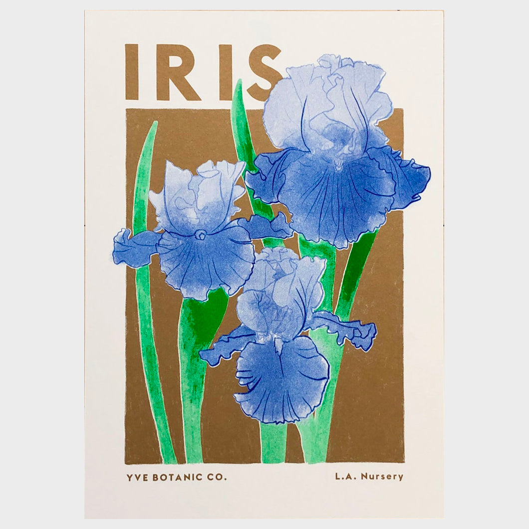 Iris Illustration Risograph Print