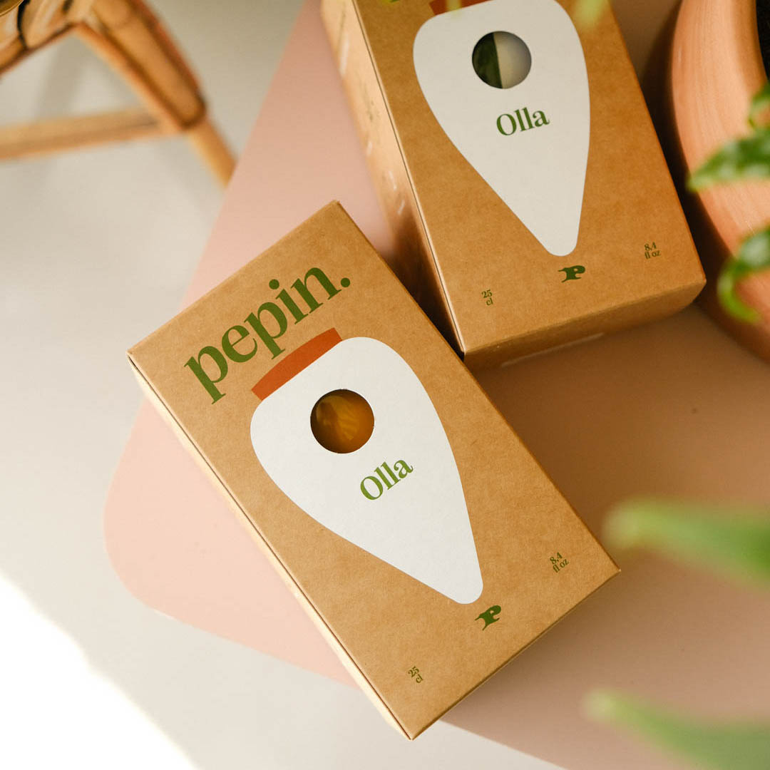 Olla - Terracotta - Self watering for plants.