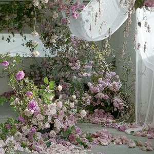 Pretty Dirty: The Life of Flowers, From Creation to Compost