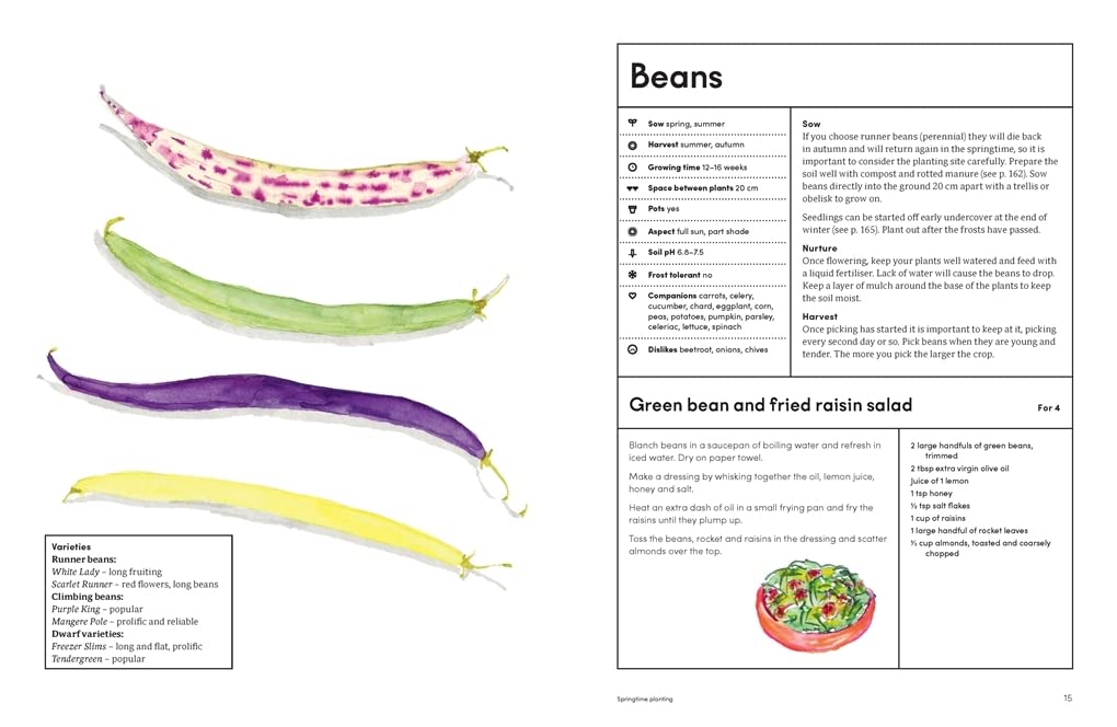 The Kitchen Garden: Sowing, growing and cooking for the garden