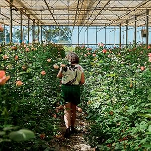 Pretty Dirty: The Life of Flowers, From Creation to Compost