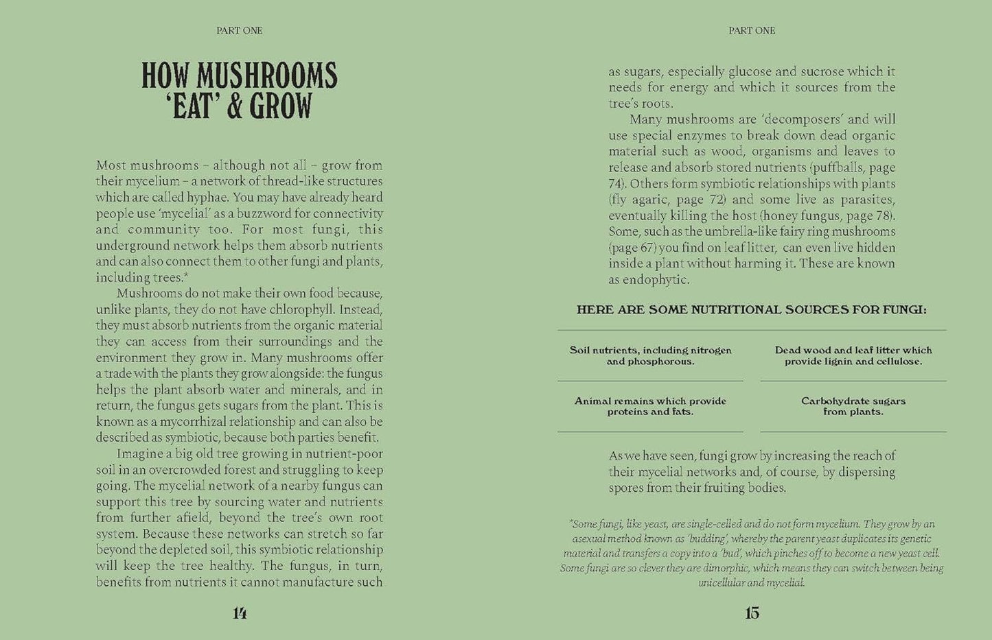 Mushrooms: A Guide for the Curious