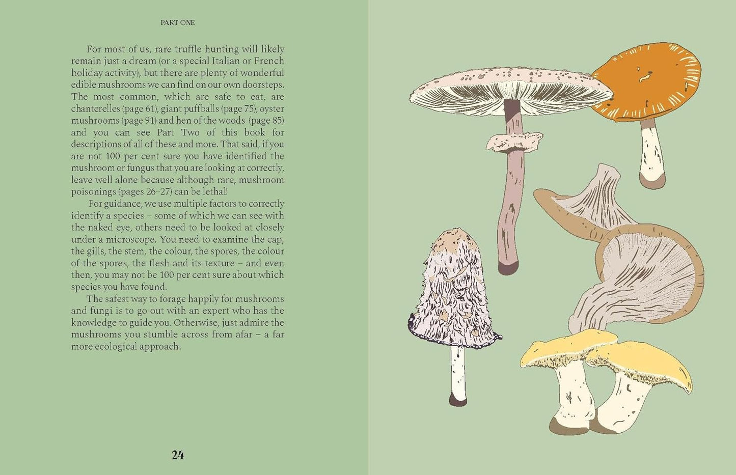 Mushrooms: A Guide for the Curious