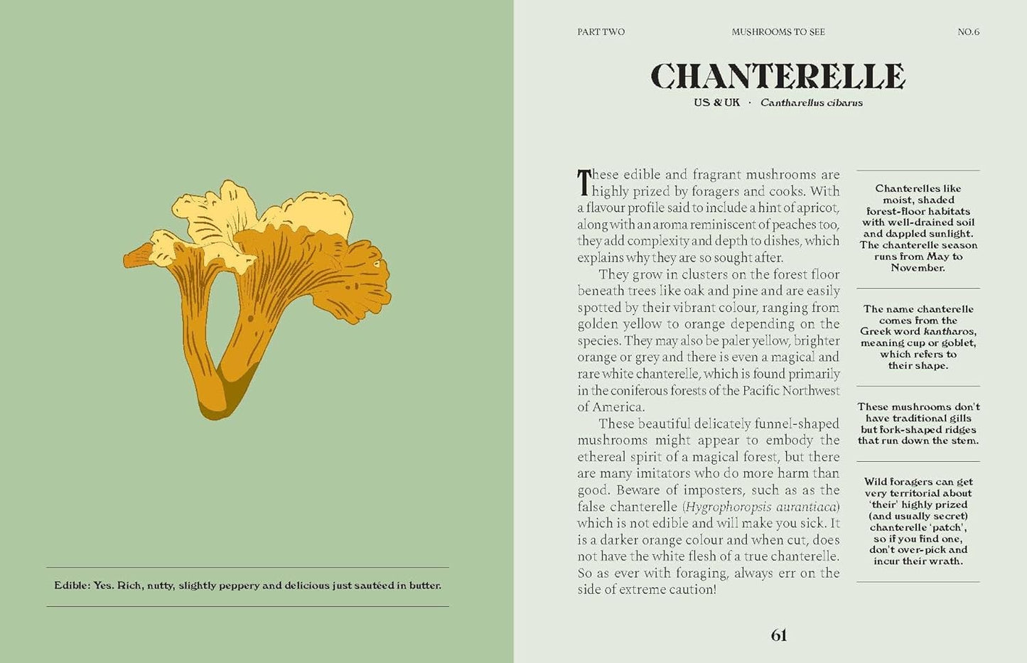 Mushrooms: A Guide for the Curious