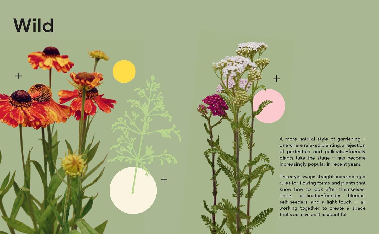 Instant Garden