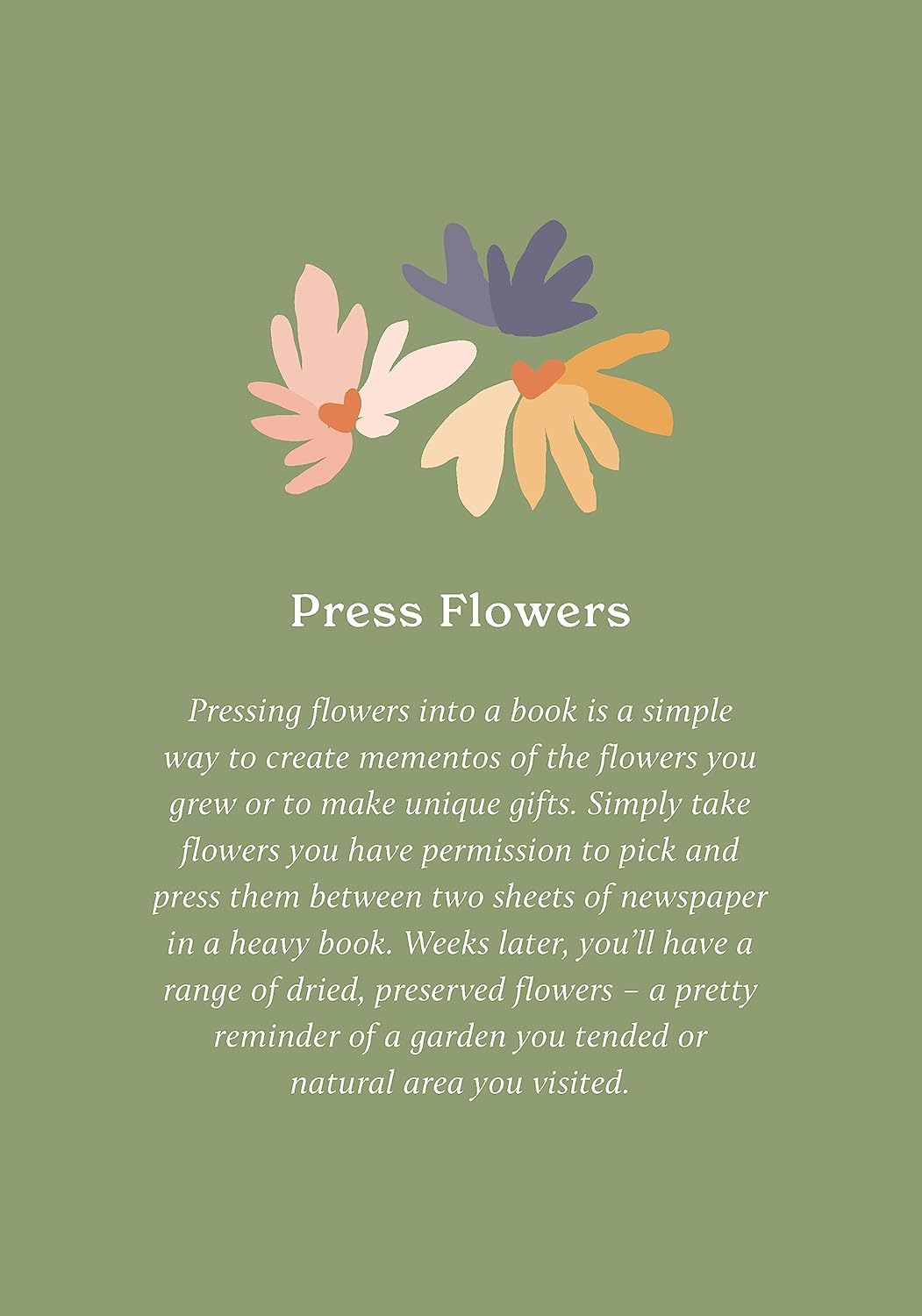 100 Ways to Reconnect with Nature: Everyday cards for wherever you live