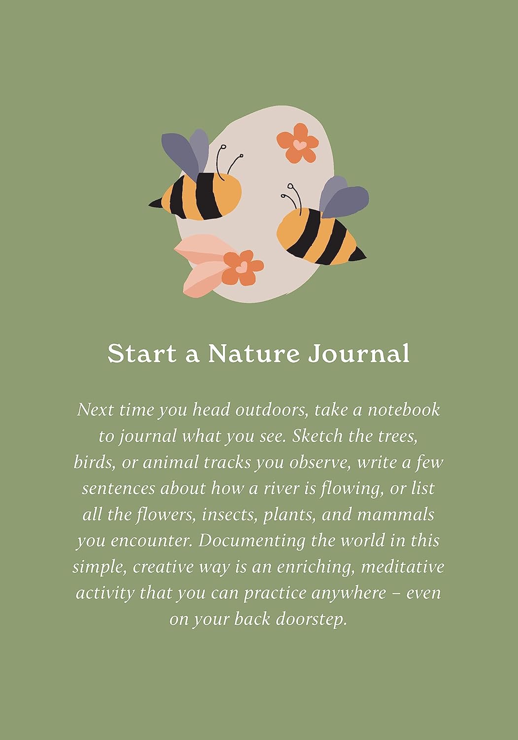 100 Ways to Reconnect with Nature: Everyday cards for wherever you live