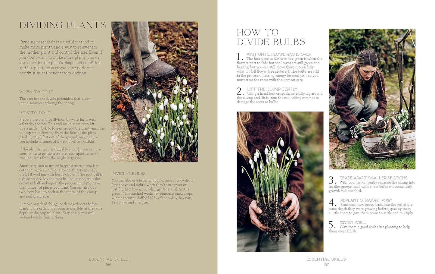 How Does Your Garden Grow?