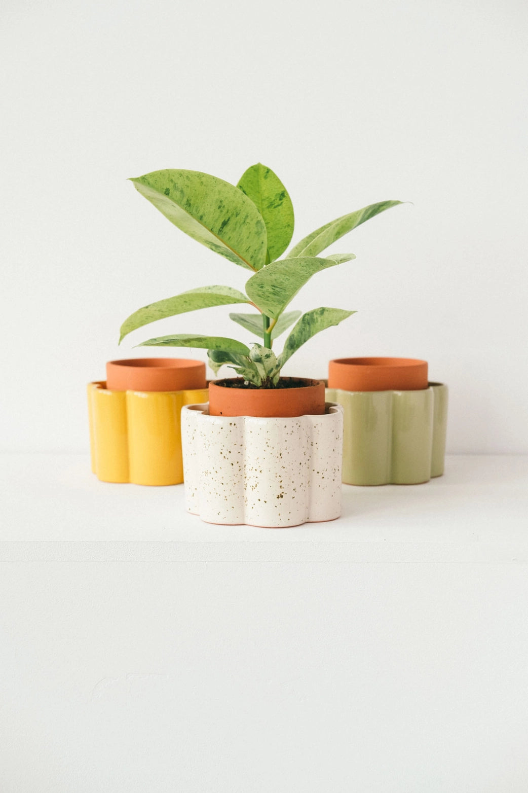 Paula - Green Self Watering Pot